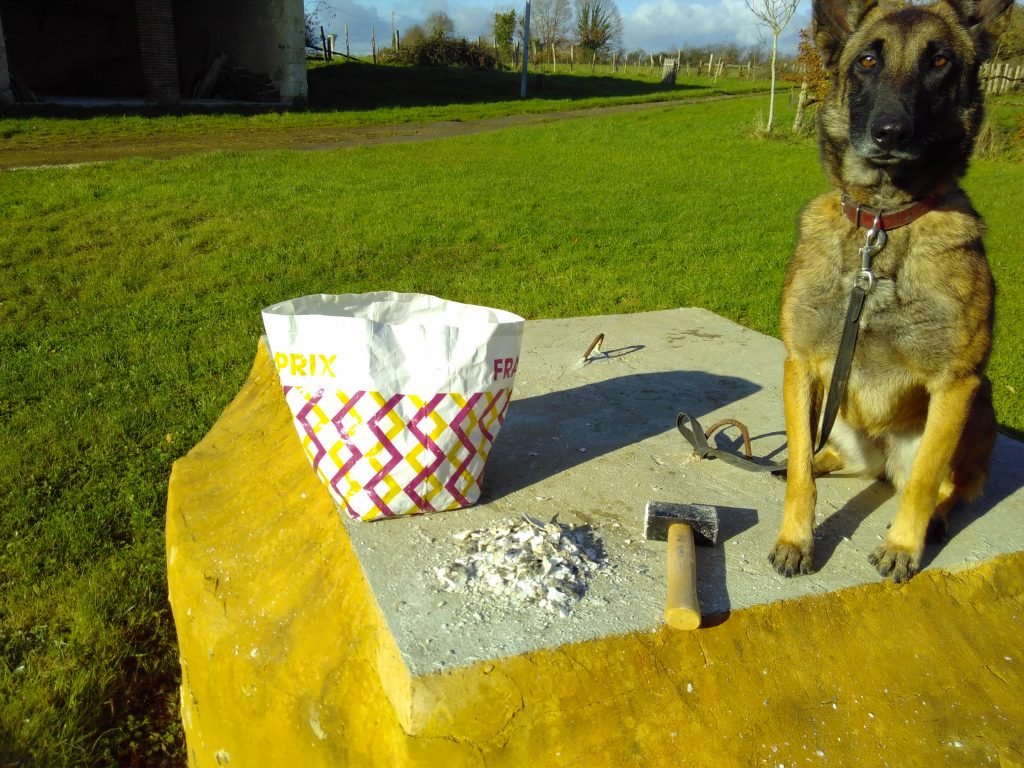 Crushing oyster shells with Rebelle