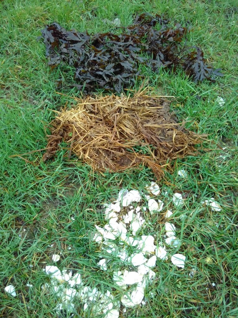 Seaweed, manure, oyster shells