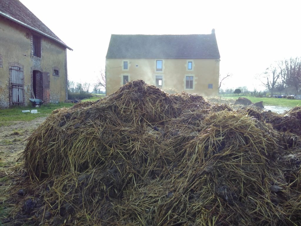 Manure + rain = a brown liquid heading for the pond