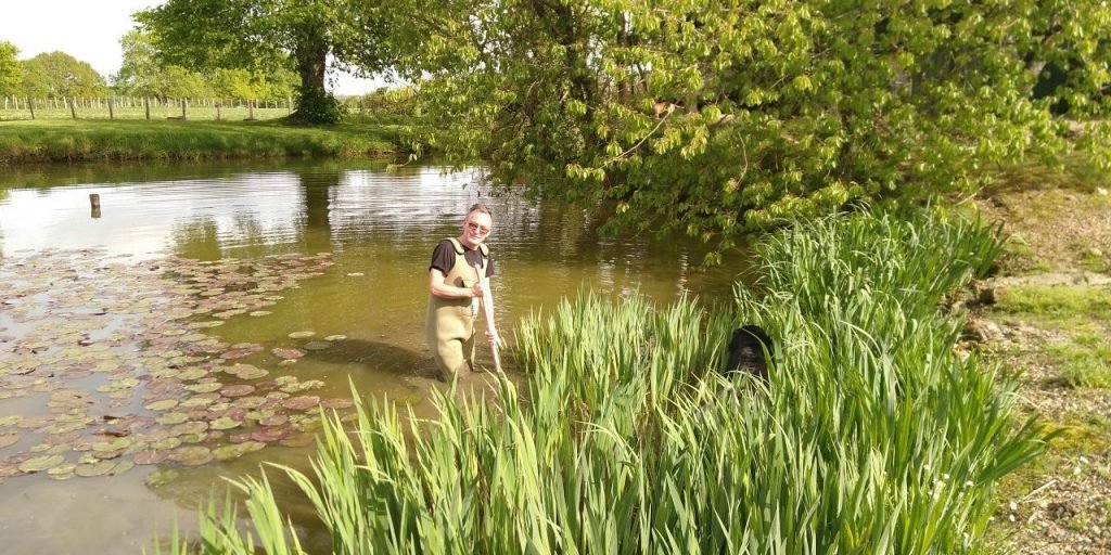 Scrumping for irises in the neighbours' pond