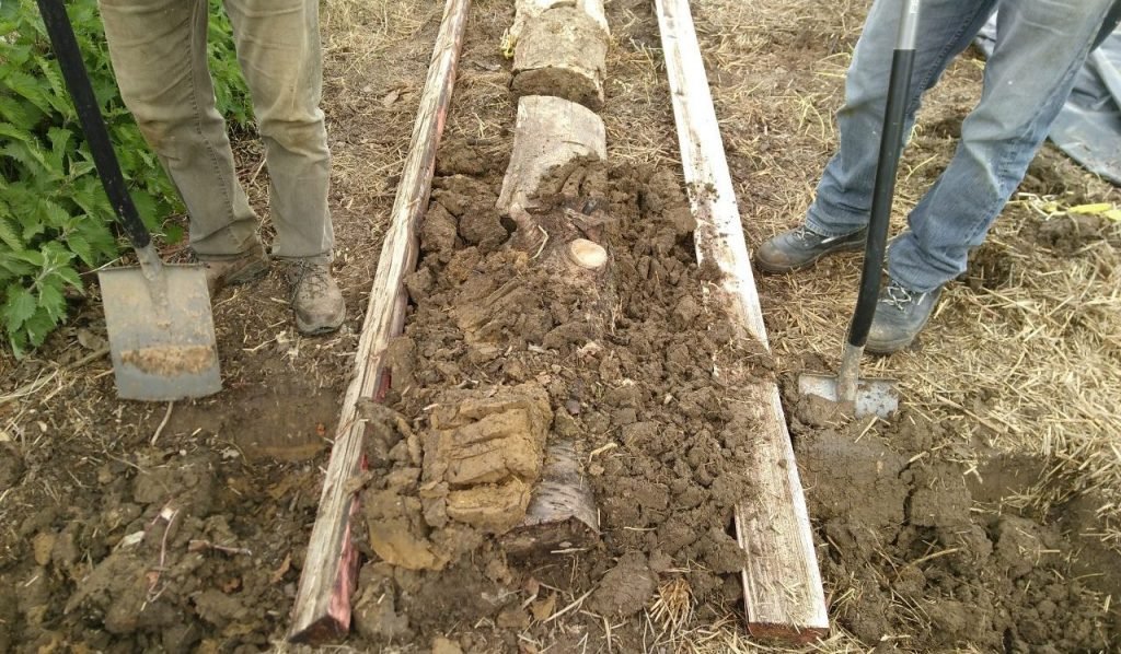 Our first Hügelkultur raised bed
